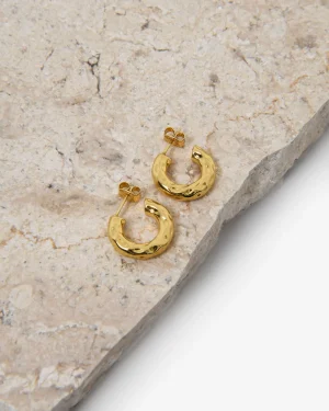 Forcast Amaris Hoop Earrings* Earrings